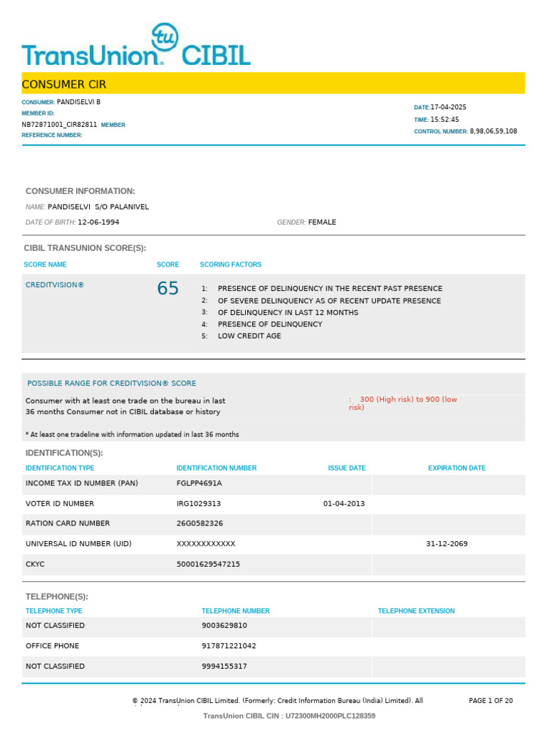 CIBIL Report for Pandiselvi B | PDF | Loans | Credit
