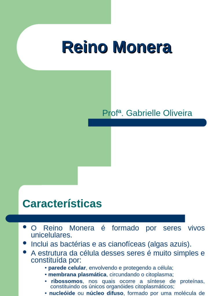 Características e Importância do Reino Monera | PDF | Bactérias ...