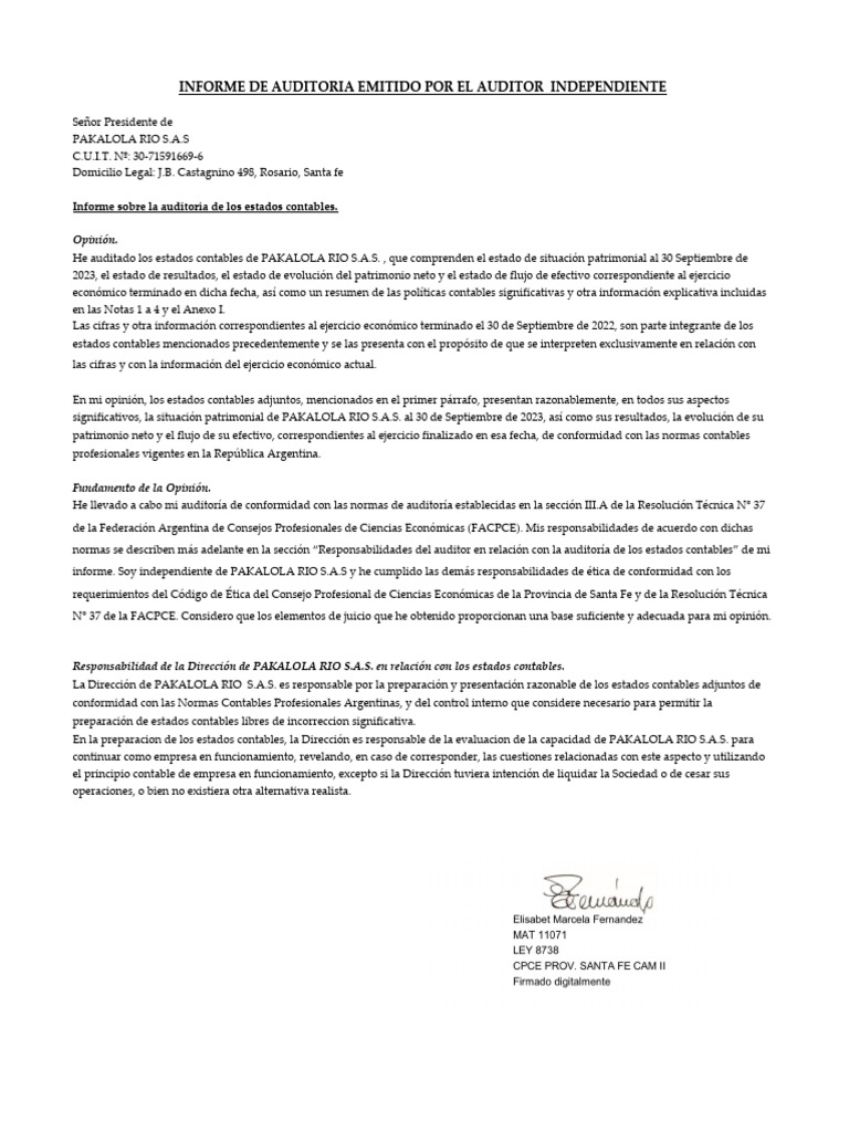 Informe Del Auditor 2023 | PDF | Auditoría | Contabilidad