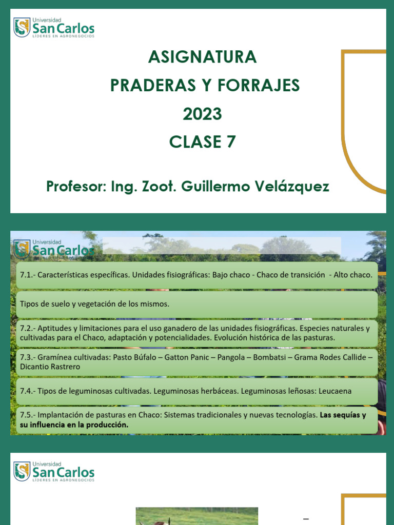 Dicantio Rastrero en Ganadería Chaqueña | PDF | Pasto | Agricultura