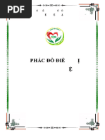 Huong Dan Dieu Tri Khoa Tieu Hoa 2017 Unlocked | PDF