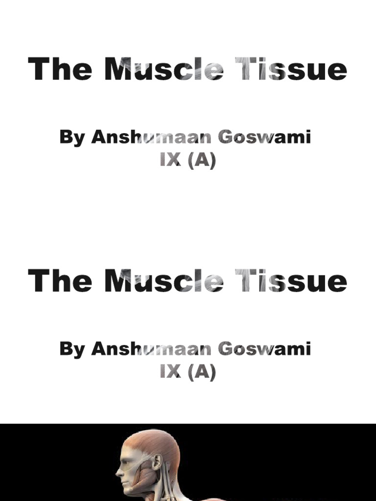 Science (Muscle Tissue) | PDF