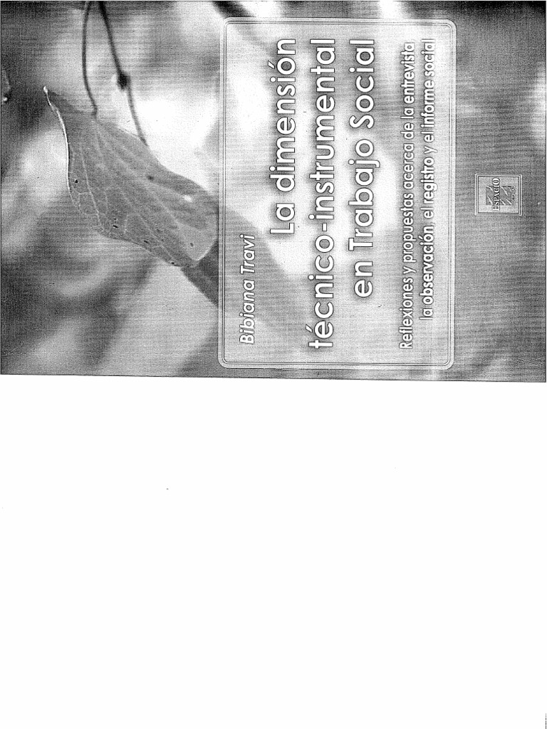 LA DIMENSION TECNICO INSTRUMENTAL EN EL TRABAJO SOCIAL-travi | PDF
