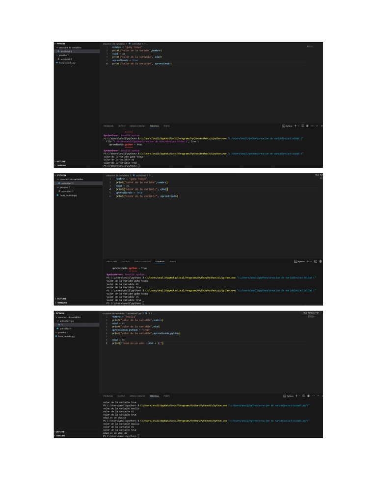 Actividad 1 Python | PDF