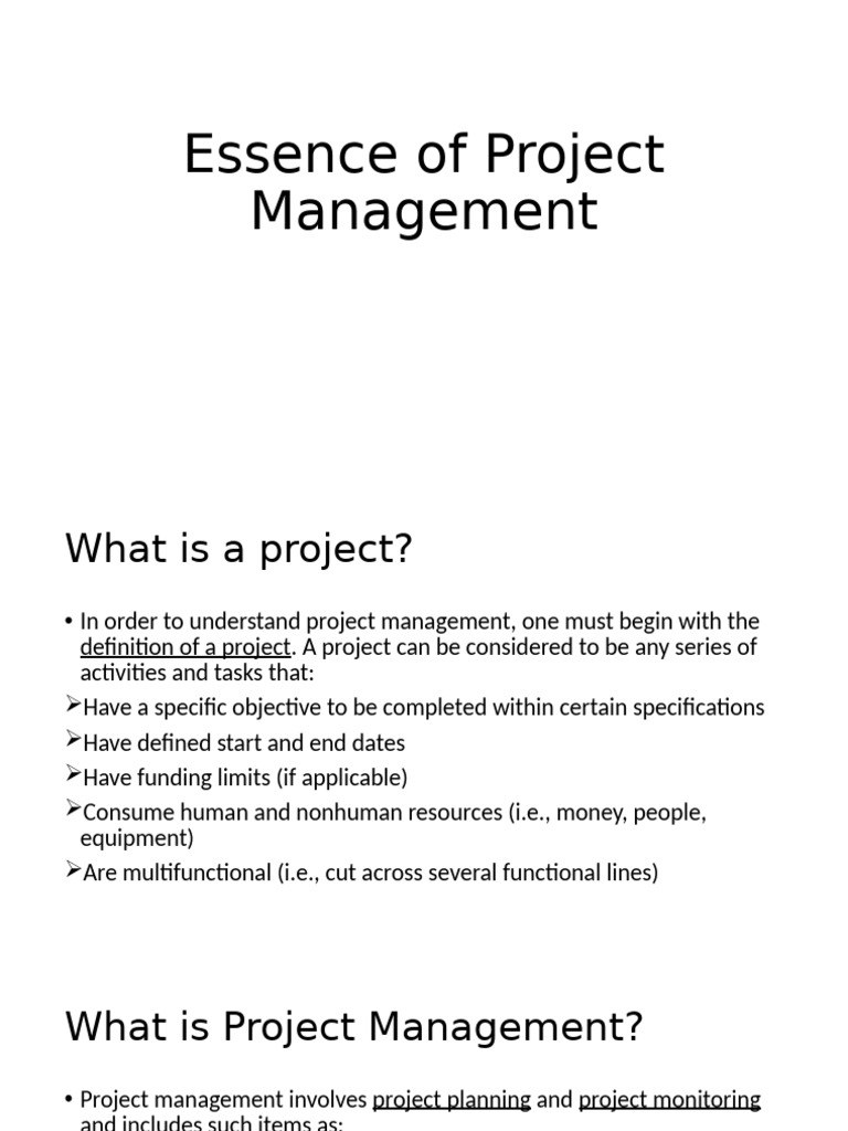 Project Management Essentials Guide | PDF | Project Management | Risk