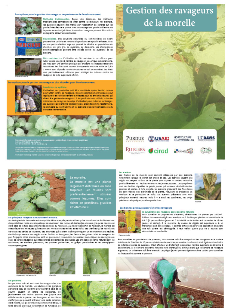 Gestion des ravageurs en agriculture | PDF | Insectes | Organismes