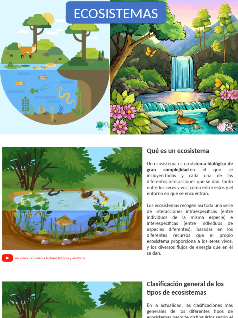 Tipos y características de ecosistemas | PDF | Ecosistema | Ecología