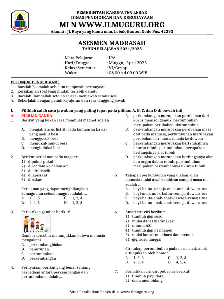 Am Ipa Vi | PDF