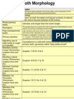 Tooth Morphology