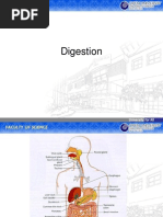 Download Sistem Pencernaan Digestion System by Akhi Muhammad Aiyas SN85325383 doc pdf