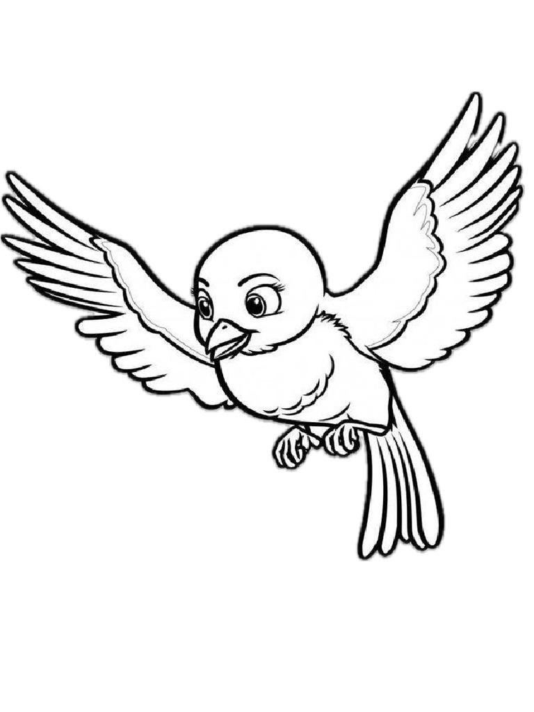 Bird | PDF