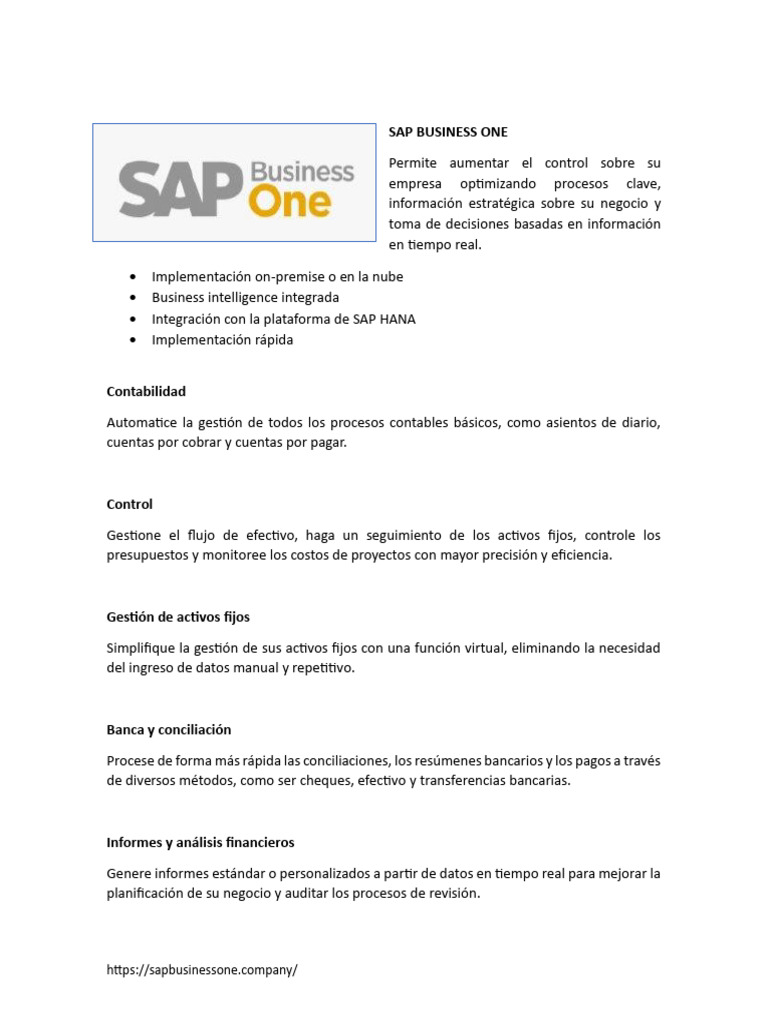 Optimiza tu empresa con SAP Business One | PDF