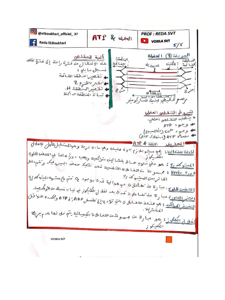 Atp | PDF