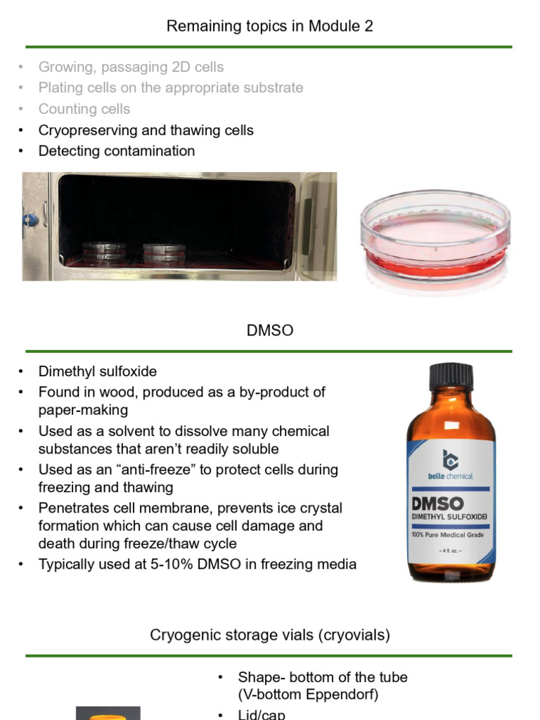 Cell Culture Techniques and Cryopreservation | PDF | Dimethyl Sulfoxide ...