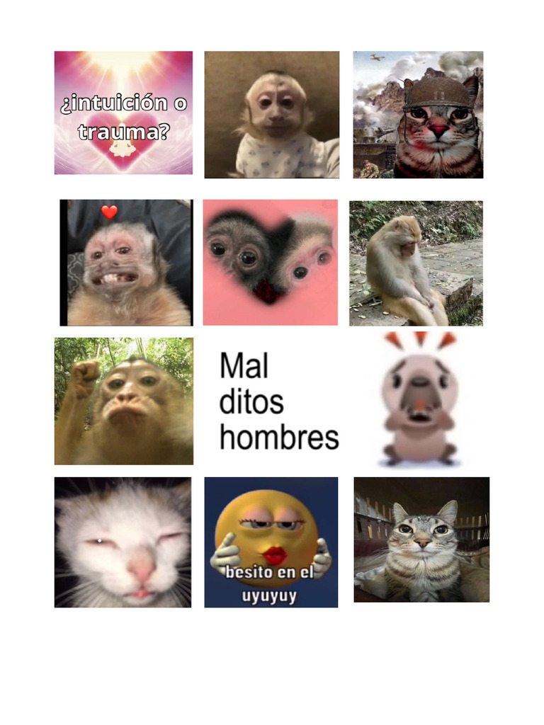 Stickers | PDF