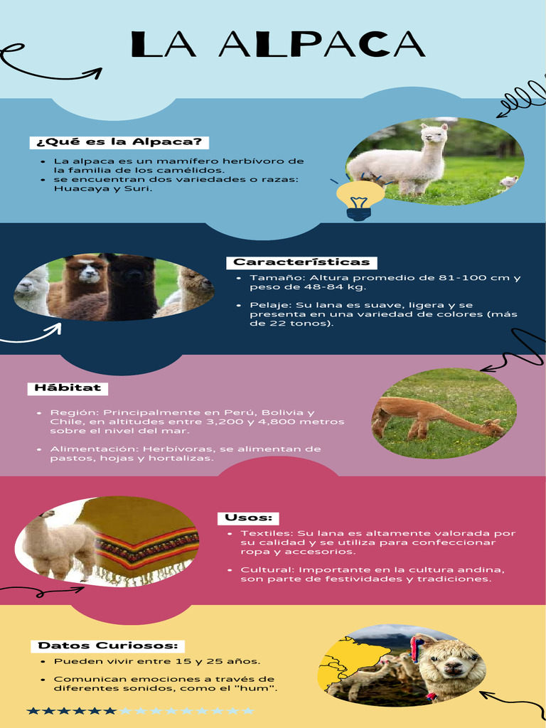 La Alpaca Es Un Mamífero Herbívoro de La Familia de Los Camélidos. | PDF