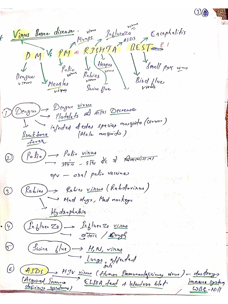 Virus Borne Disease Notes | PDF