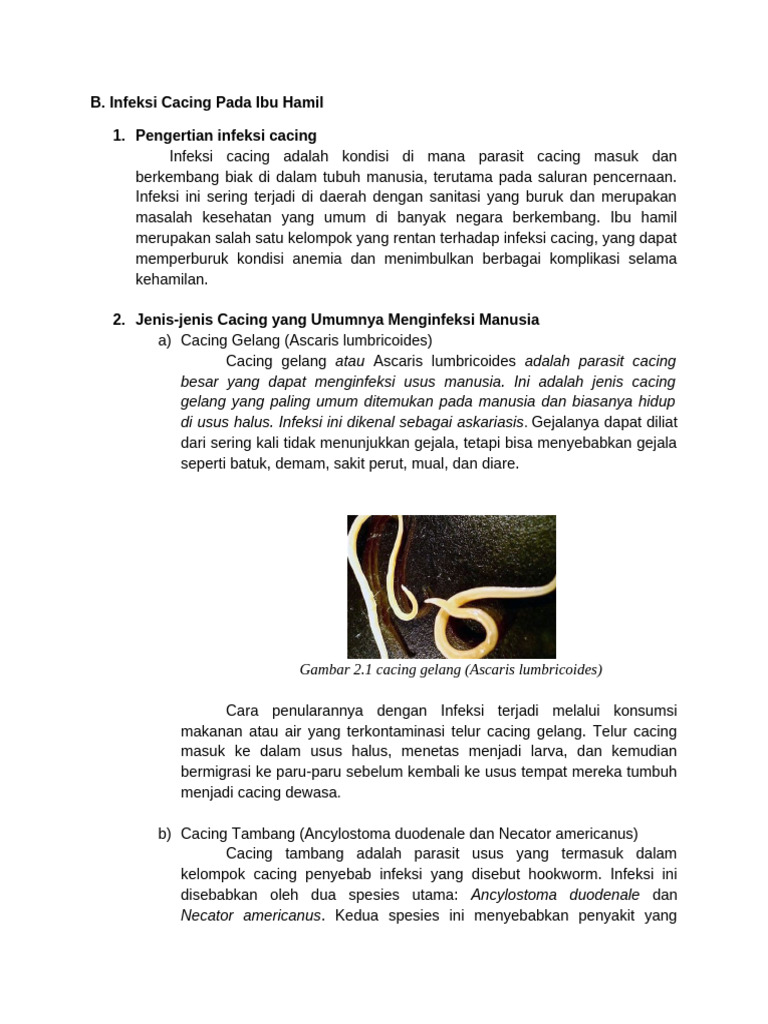 Infeksi Cacing dan Dampaknya pada Ibu Hamil | PDF