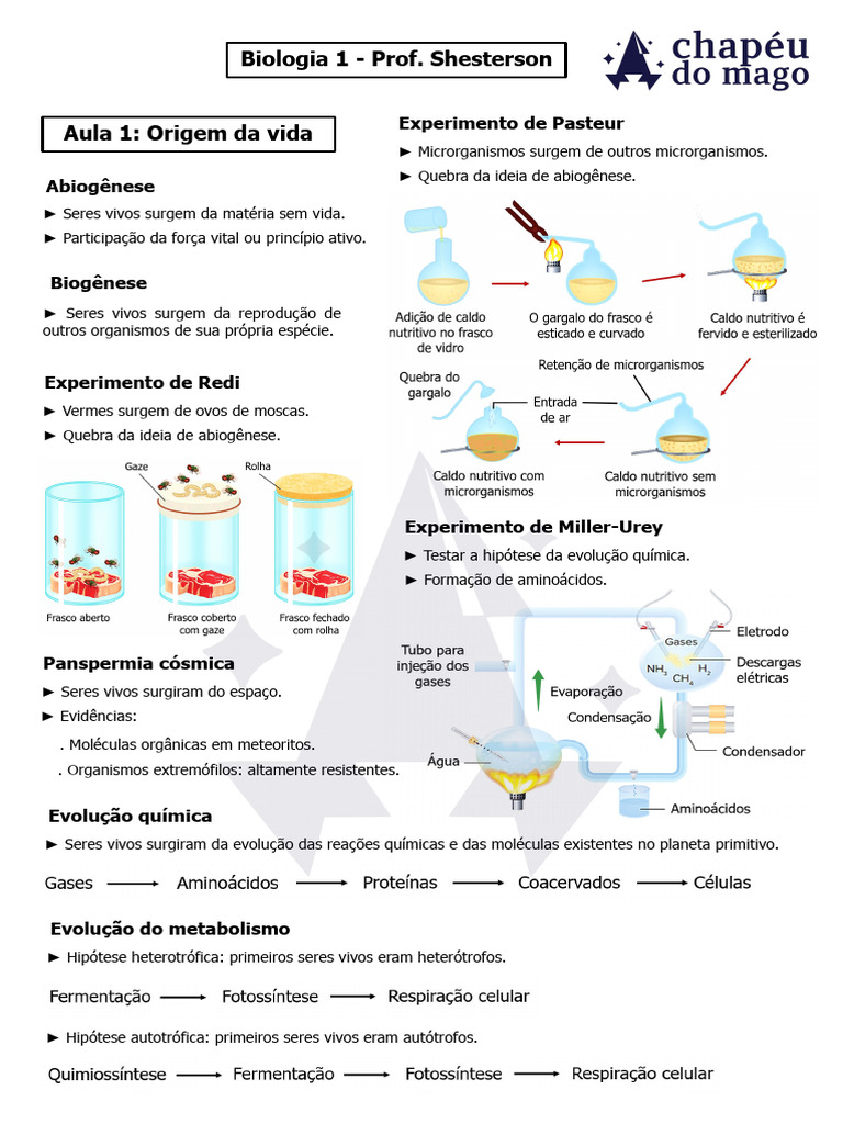 Origem da Vida: Abiogênese e Biogênese | PDF
