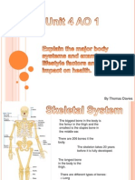 Unit 4 AO 1 Body Systems