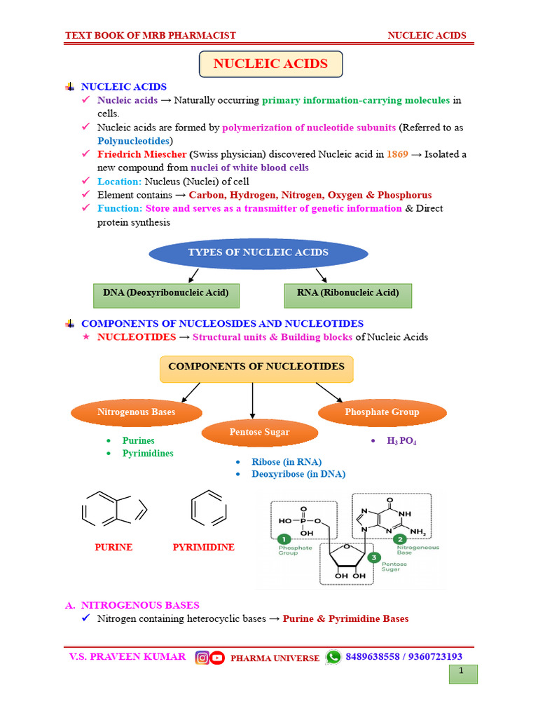 Nucleic Acids: Structure and Function | PDF | Nucleotides | Nucleic Acids
