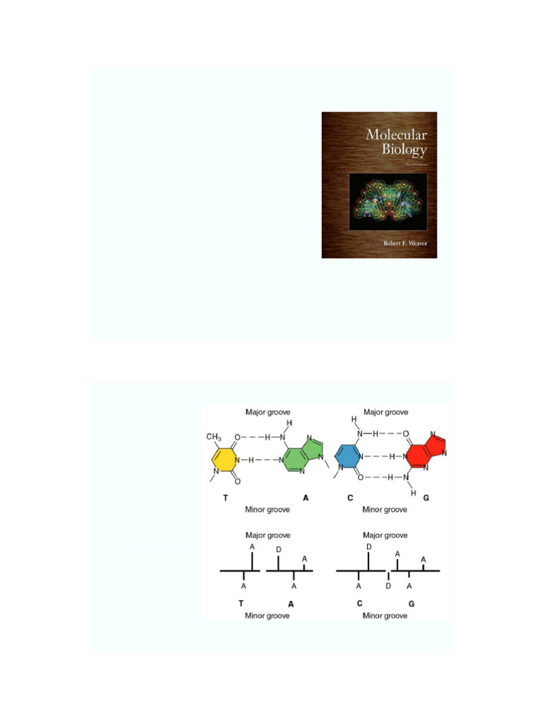 Eukaryotic Transcription Factors Overview | PDF | Promoter (Genetics ...