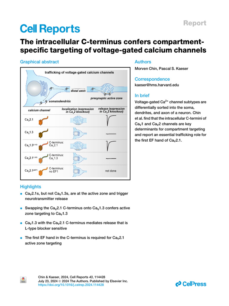 Cell Reports 24 The Intracellular C-Terminus Confers Compartment ...