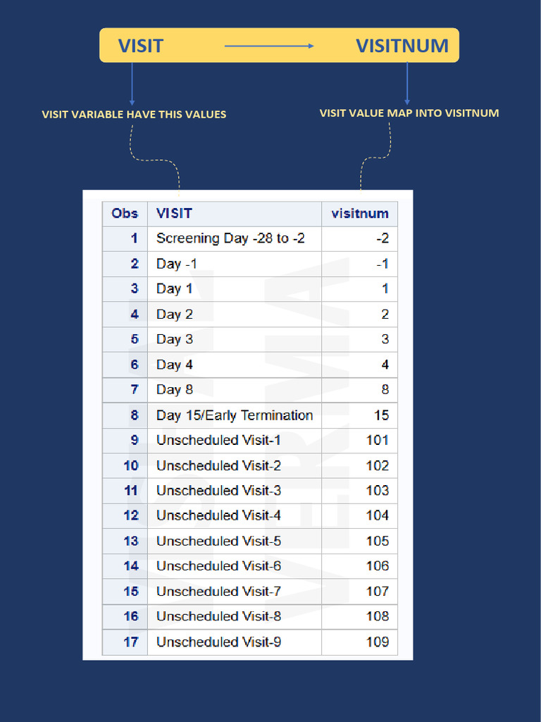 Visit Map Into Visitnum | PDF | Clinical Trial | Computer Programming