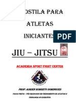 Guia para iniciantes no Jiu-Jitsu