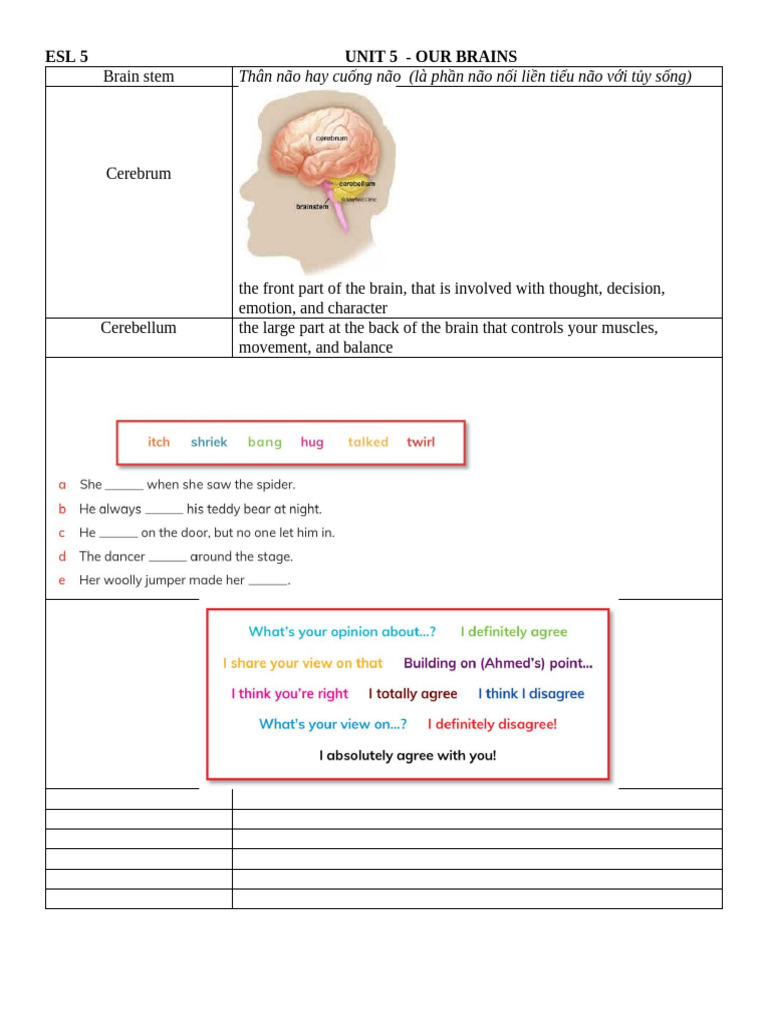 ESL 5 Unit 5 Our Brains | PDF