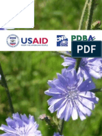 Medicinal Plants From Moldova SmallFile