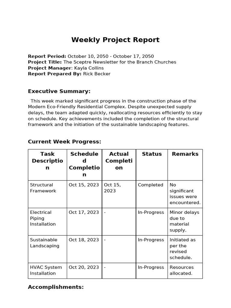 Weekly-Project-Report-Template | PDF | Economies