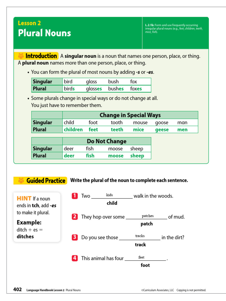 Understanding Plural Nouns | PDF | Plural | Goose