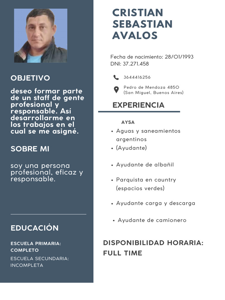 CV de Cristian Avalos: Experiencia Laboral | PDF