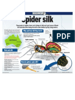 Infographic: Spider Silk