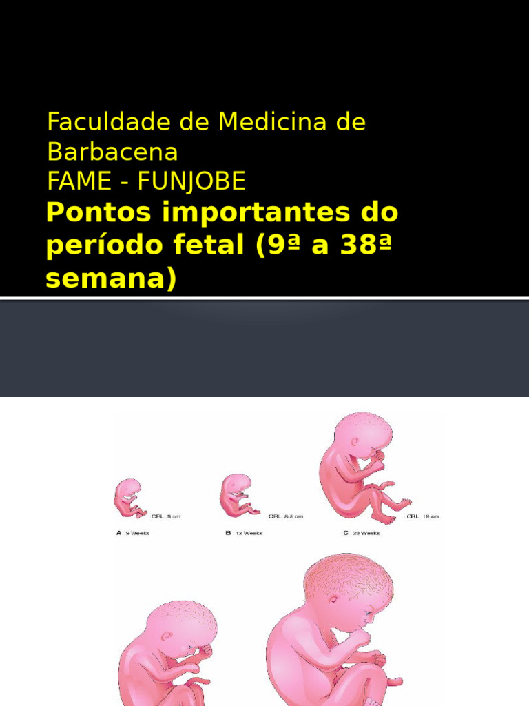 Aula Embriologia Período Fetal | PDF