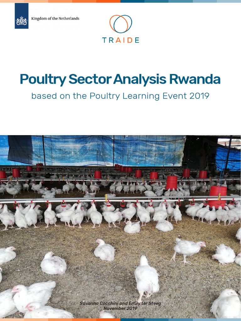 Rwanda Poultry Sector Insights 2019 | PDF | Poultry Farming | Chicken