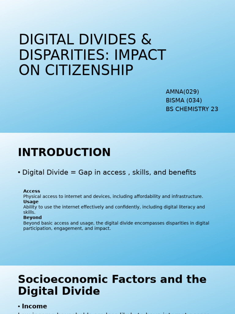 Bridging the Digital Divide for Citizenship | PDF | Accessibility ...