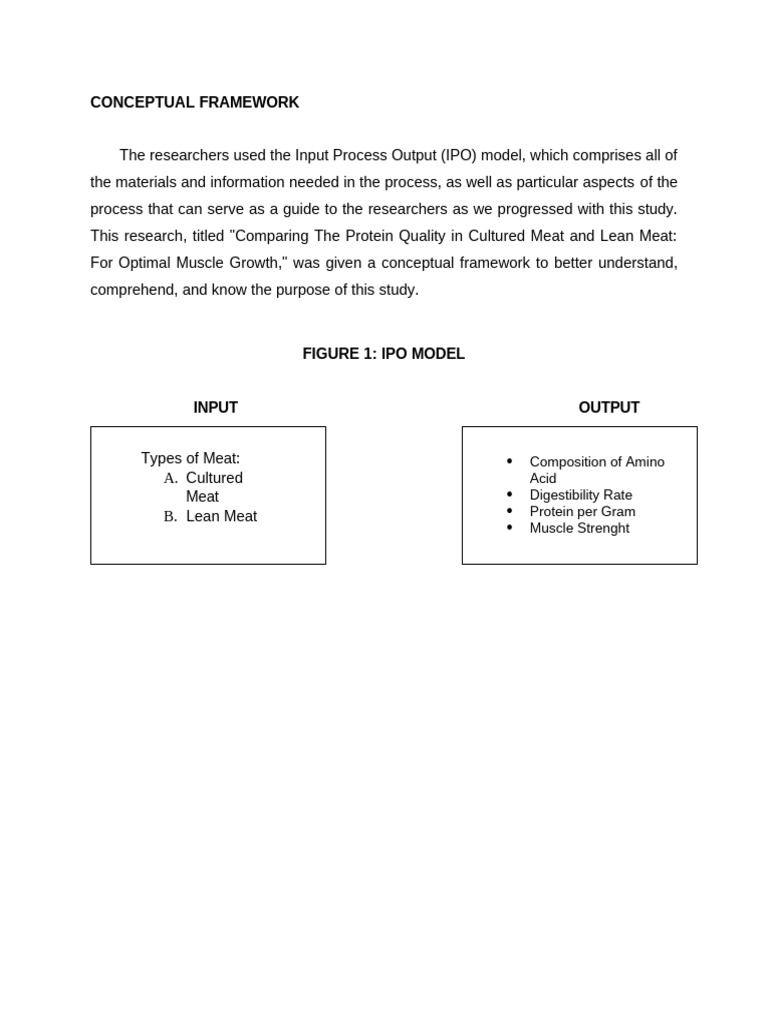 Conceptual Framework | PDF