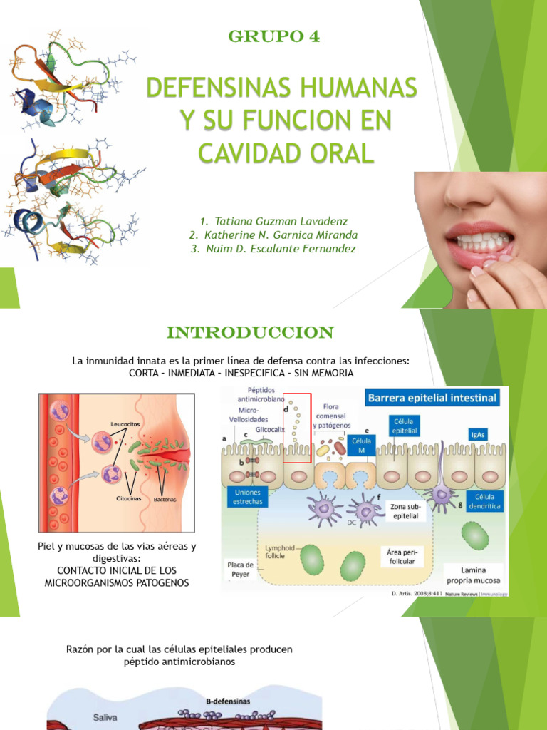 Defensinas en la Cavidad Oral | PDF | Sistema inmune | Especialidades ...