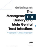 Urinary and Male Genital