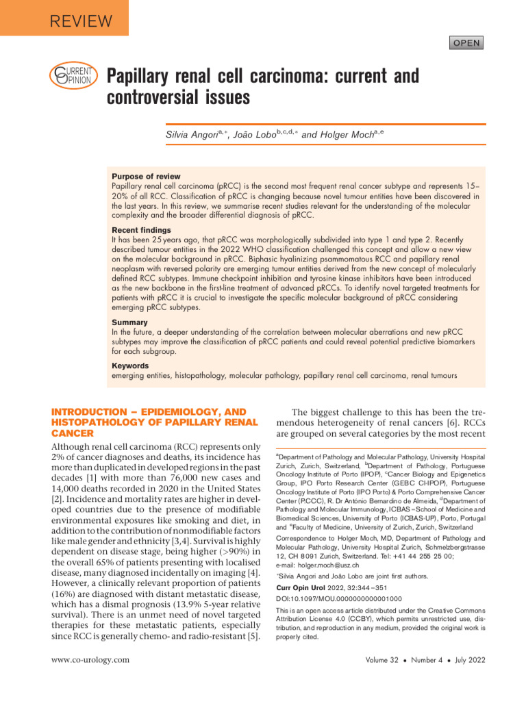 Papillary Renal Cell Carcinoma Current and Controversial Issues | PDF ...