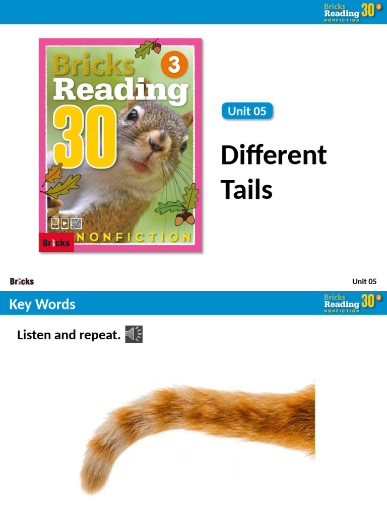 Different Animal Tails Vocabulary Guide | PDF | Applied Linguistics ...