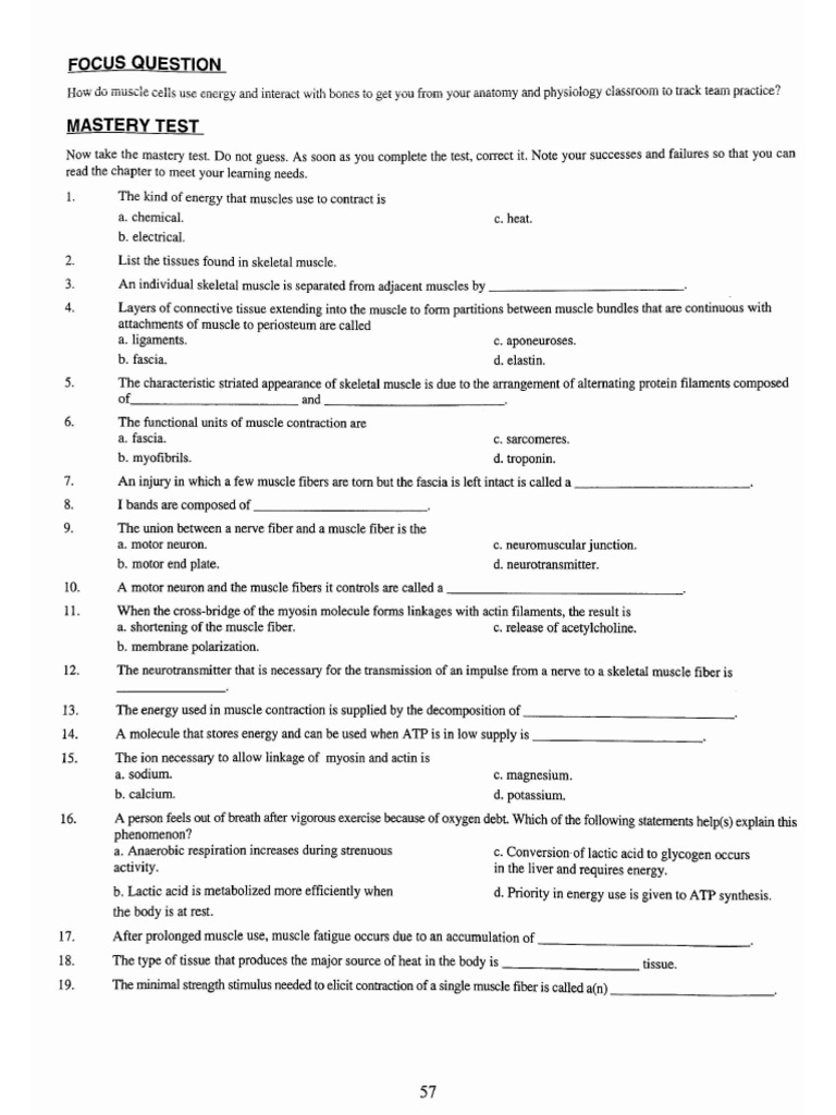 Chapter 8 Mastery Test | PDF