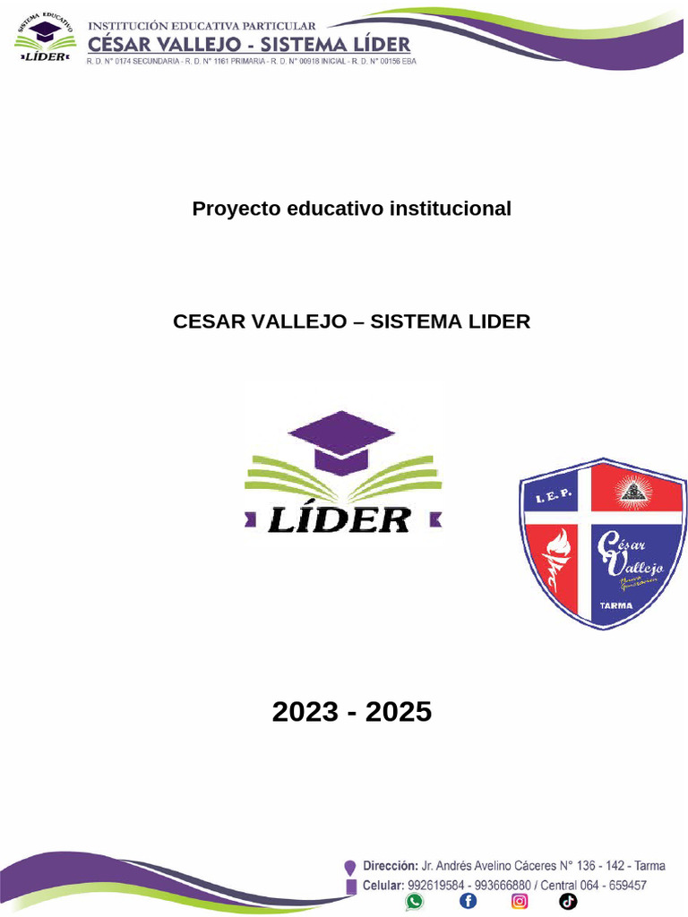 Proyecto Educativo Institucional 2025 | PDF | Plan de estudios ...