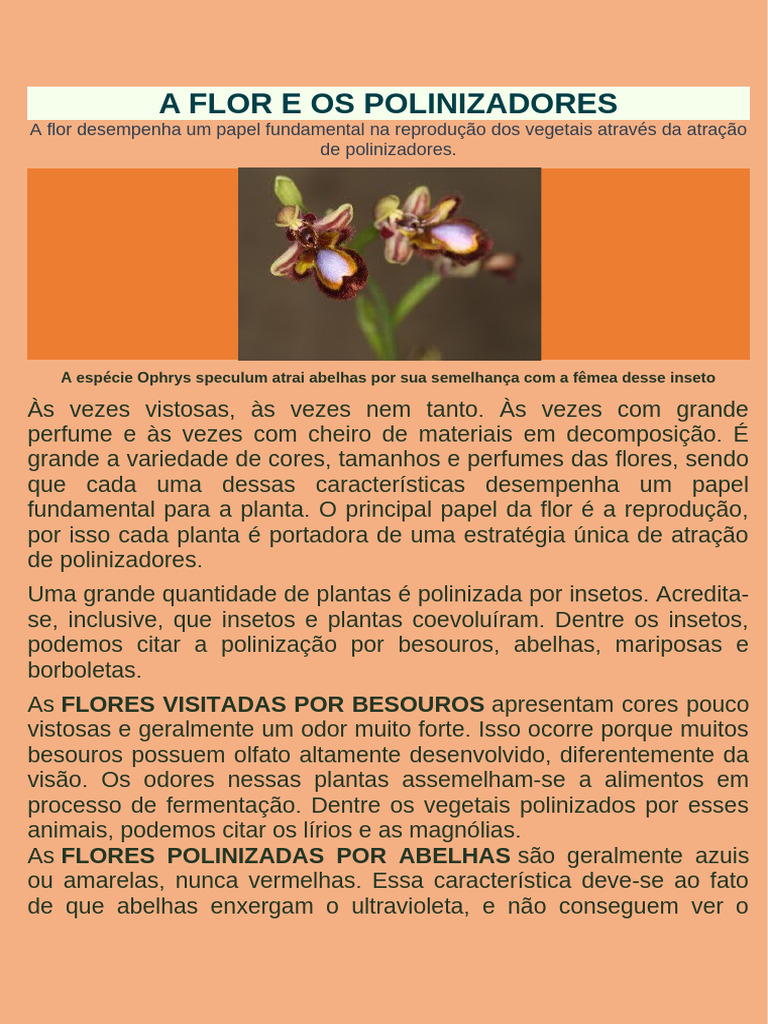 Polinização: Flores e Polinizadores | PDF | Polinização | Polinizadores
