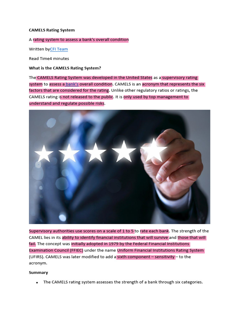 CAMELS Rating System | PDF | Risk | Banks