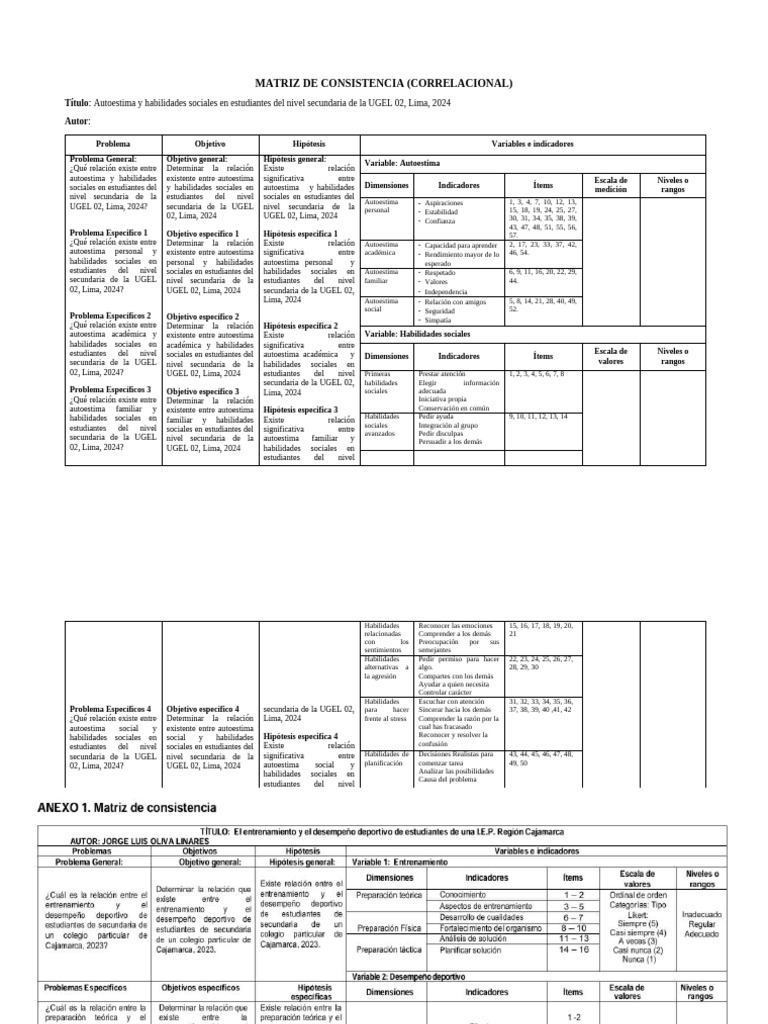 Matriz de Consistencia | PDF | Autoestima | Educación Física