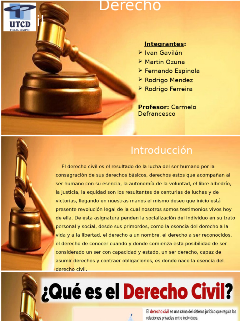 Introducción al Derecho Civil en Paraguay | PDF | Justicia | Crimen y ...
