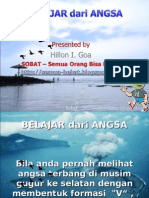 Belajar Dari Angsa